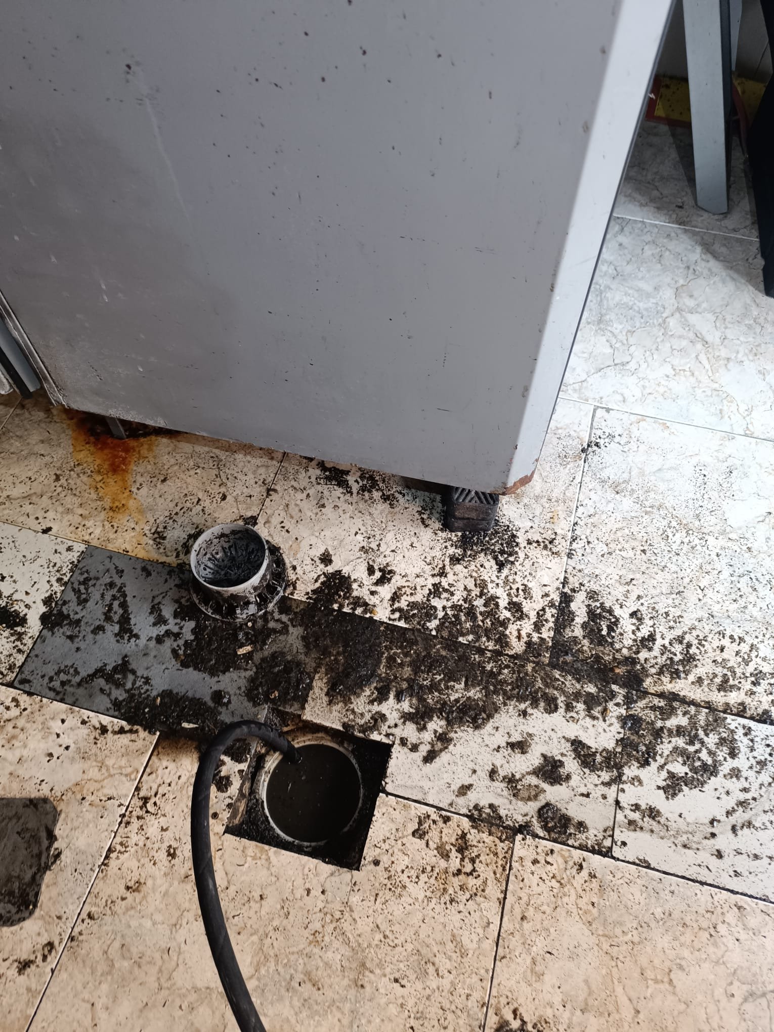 Inspección Cámara